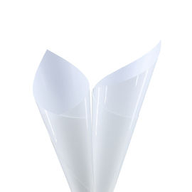 10 years Warranty High Quality No Yellowing Car Wrap Vinyl Paint Protection Film